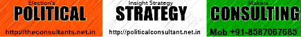 Political Strategy Consulting