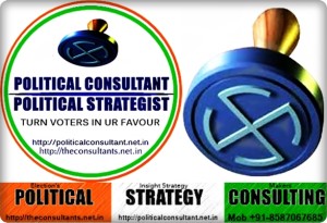 Political stratgey Consulting